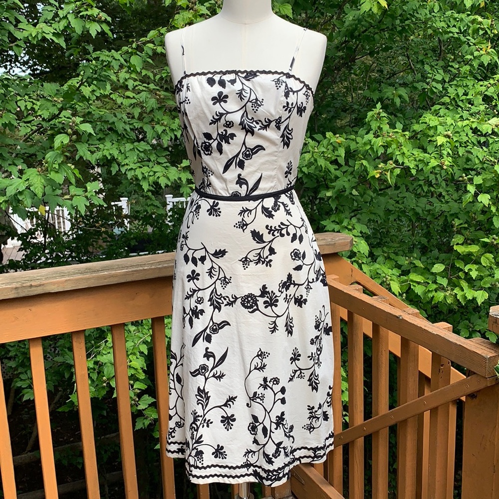 Flirty Cream & Black Dress